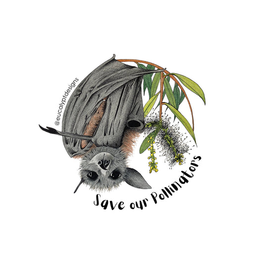 Australian Wildlife Sticker Flying Fox Bat