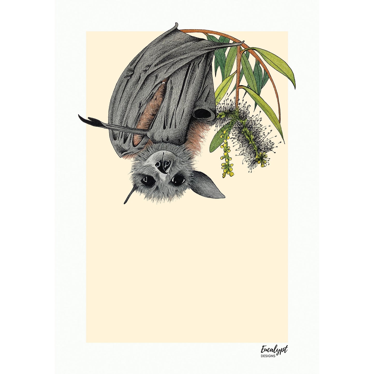 Australian Wildlife Fine Art Print Flying Fox Bat
