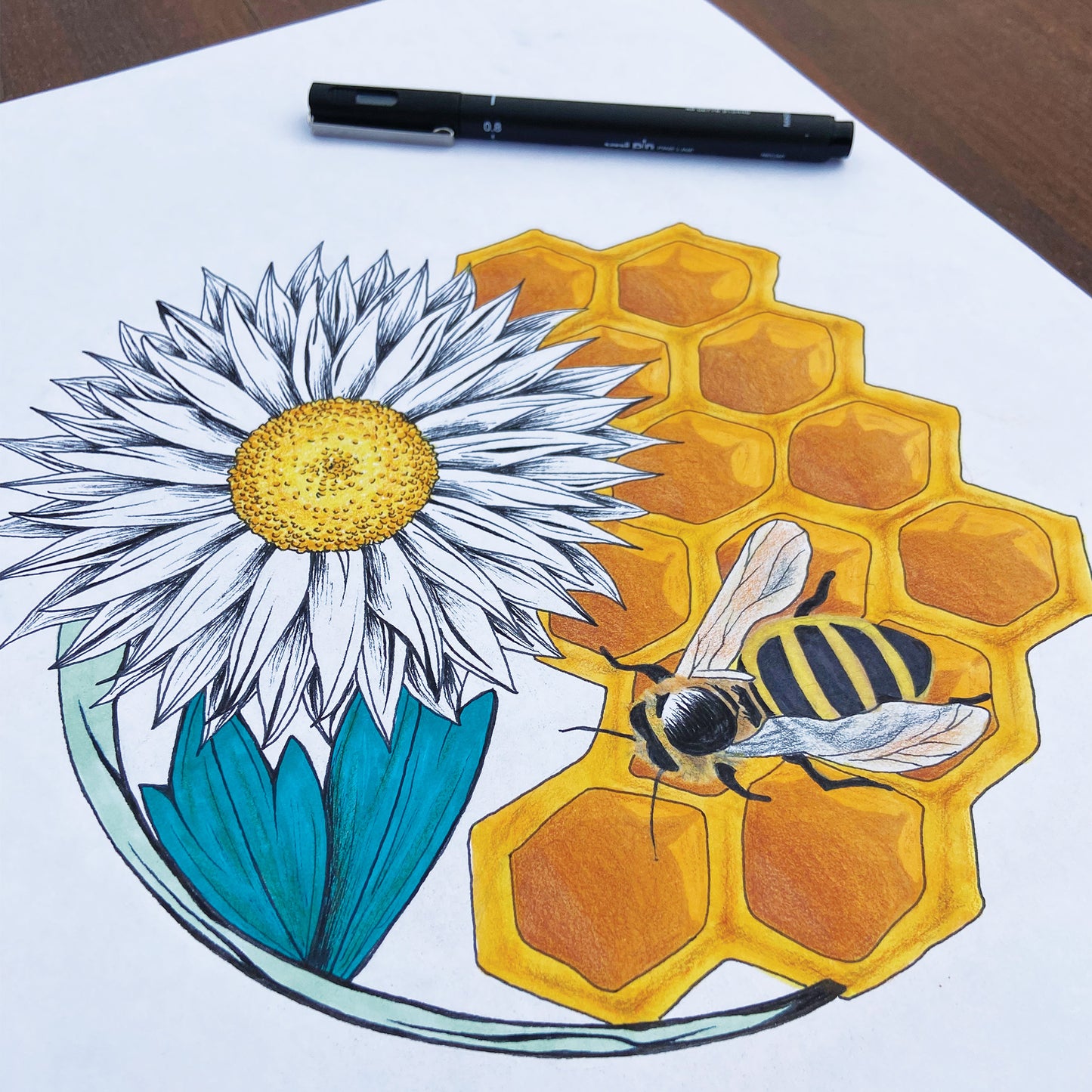 Australian Wildlife Fine Art Print Bee