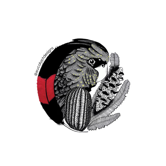 Australian Wildlife Sticker Red-Tailed Black Cockatoo