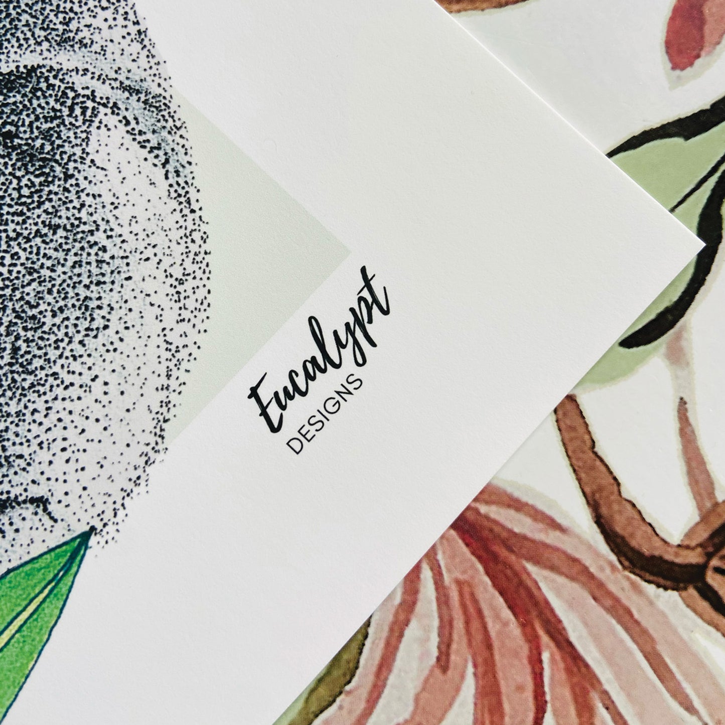 Australian Wildlife Fine Art Print Koala