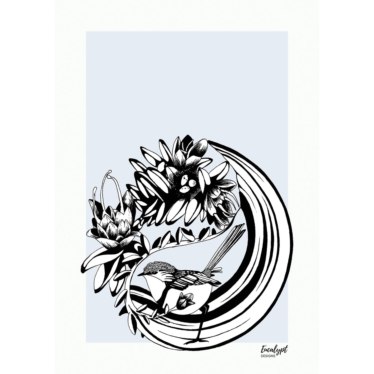 Australian Wildlife Fine Art Print Splendid Fairy Wren