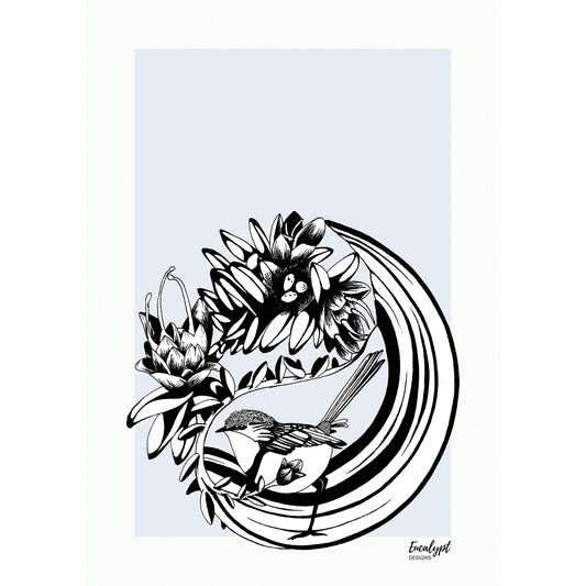 Australian Wildlife Fine Art Print Splendid Fairy Wren