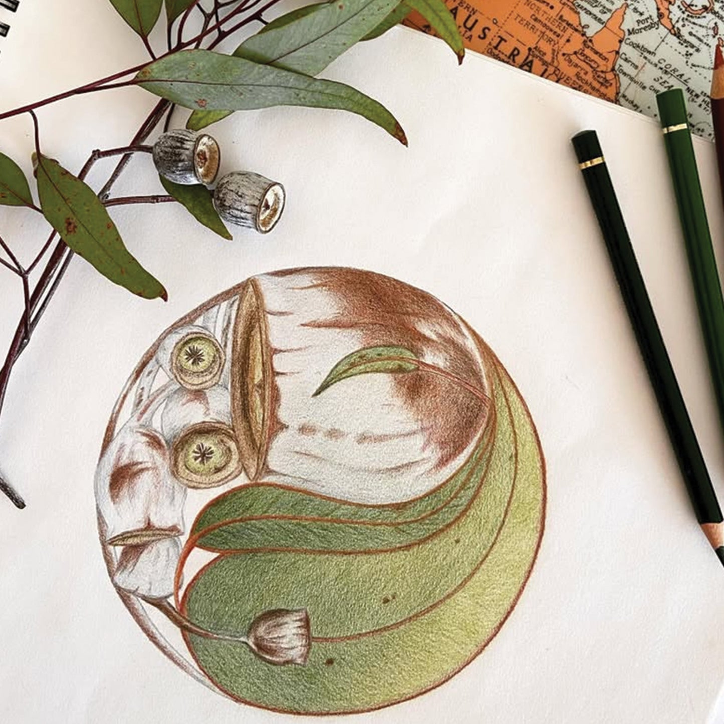 Australian Fine Art Print Gumnut Yin Yang