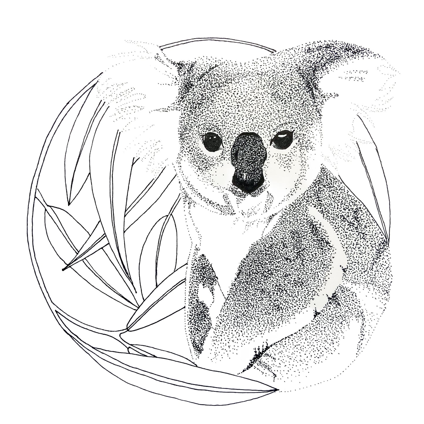Australian Wildlife Fine Art Print Koala