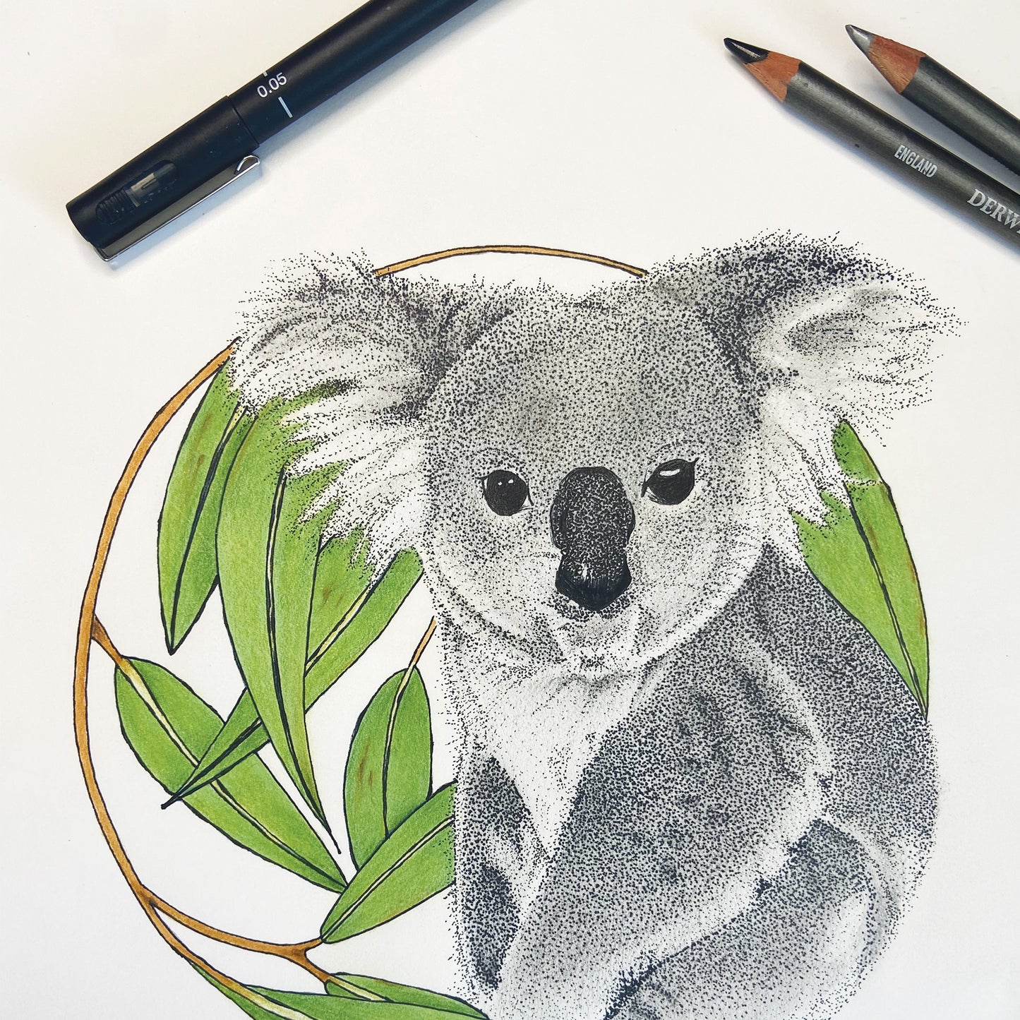 Australian Wildlife Fine Art Print Koala