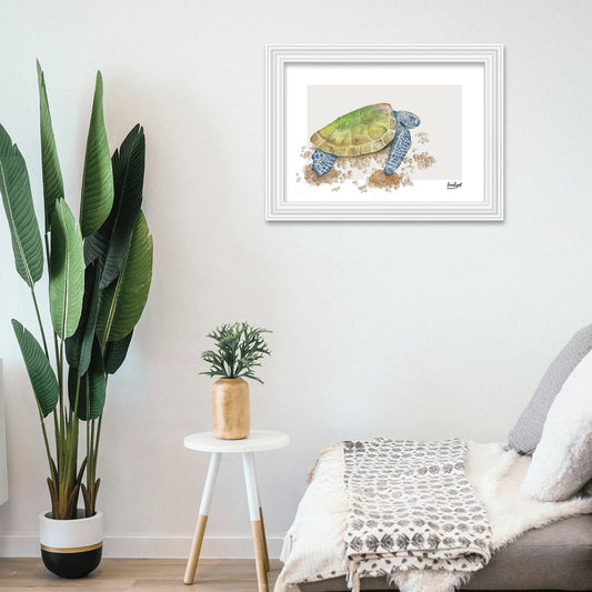 Australian Wildlife Fine Art Print Green Sea Turtle