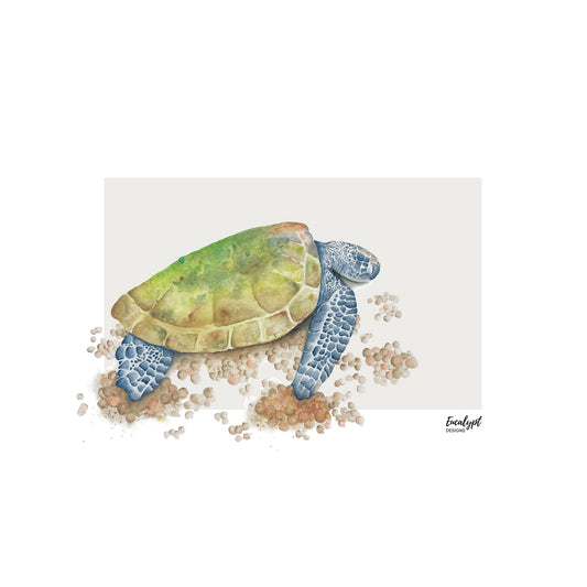 Australian Wildlife Fine Art Print Green Sea Turtle