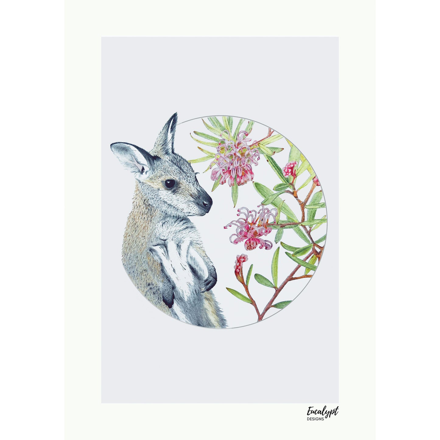 Australian Wildlife Fine Art Print Wallaby