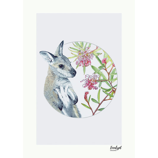 Australian Wildlife Fine Art Print Wallaby