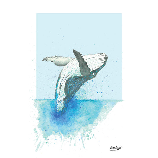 Australian Wildlife Fine Art Print Humpback Whale Breaching