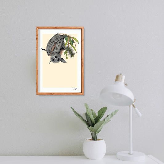 Australian Wildlife Fine Art Print Flying Fox Bat