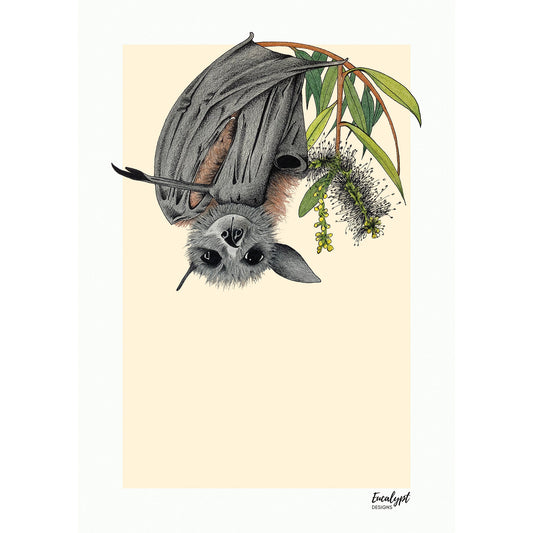 Australian Wildlife Fine Art Print Flying Fox Bat