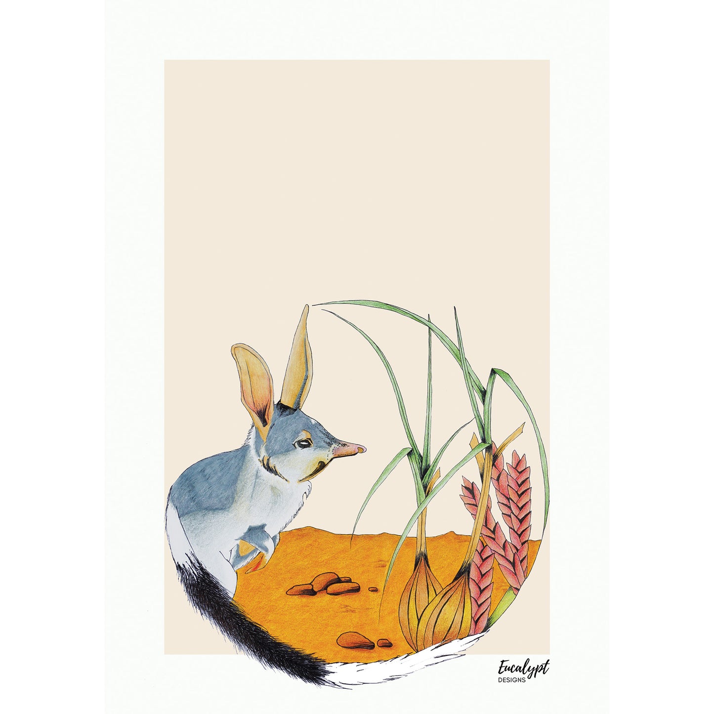 Australian Wildlife Fine Art Print Bilby