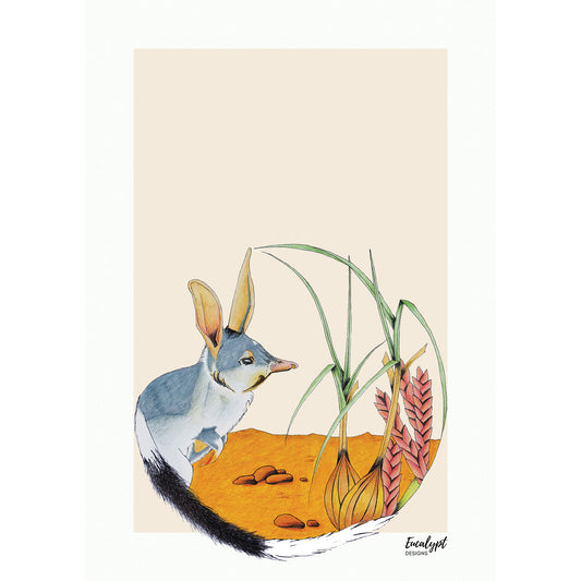 Australian Wildlife Fine Art Print Bilby