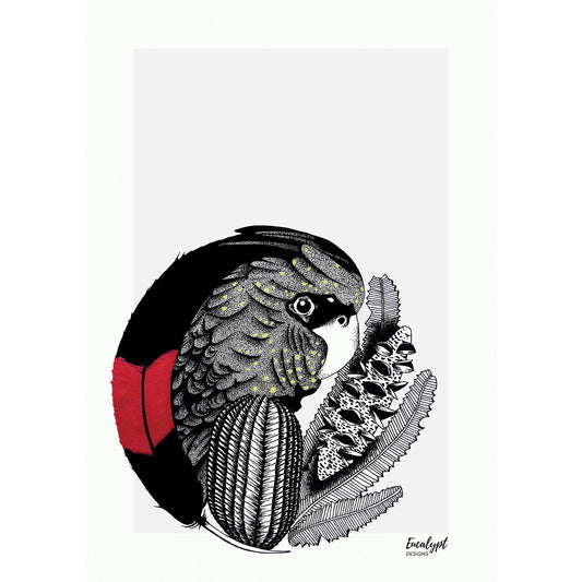 Australian Wildlife Fine Art Print Black Cockatoo