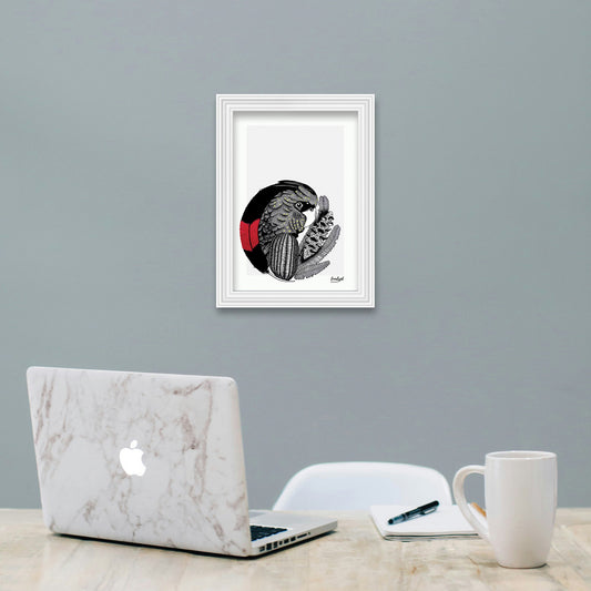 Australian Wildlife Fine Art Print Black Cockatoo