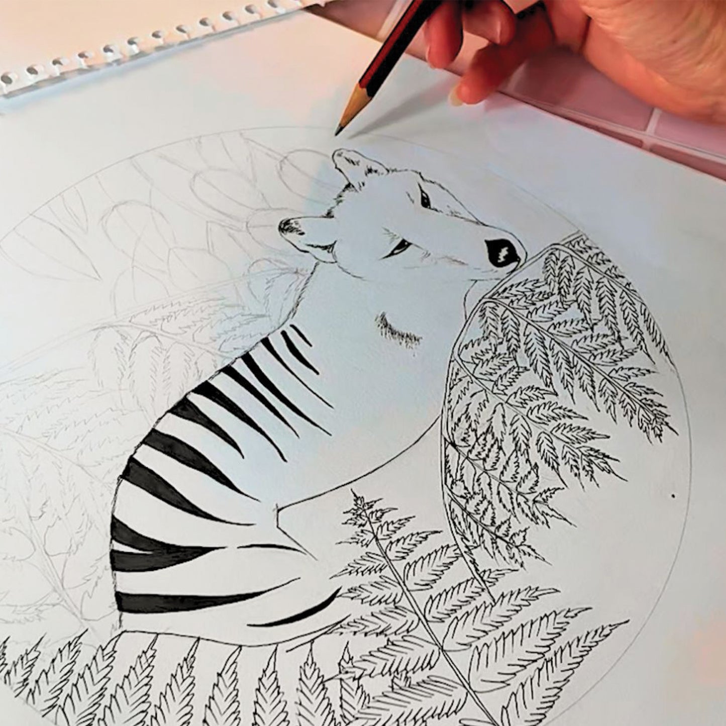 Australian Wildlife Fine Art Print Tamsmanian Tiger