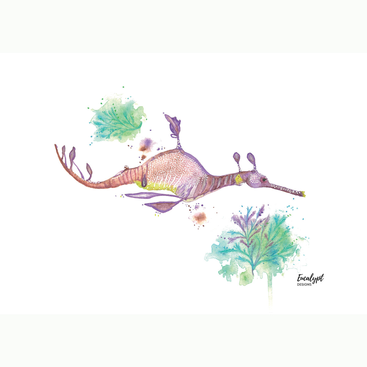 Australian Wildlife Fine Art Print Weedy Seadragon